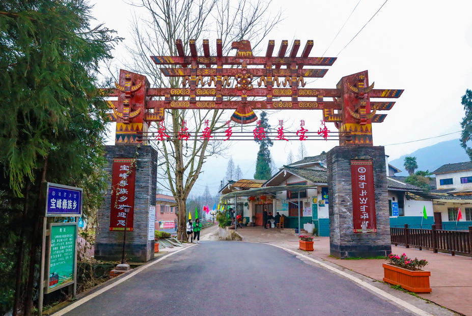 雅安乡村振兴进行时②│田坝村:坡地变茶园 高山种出"致富茶" - 川观