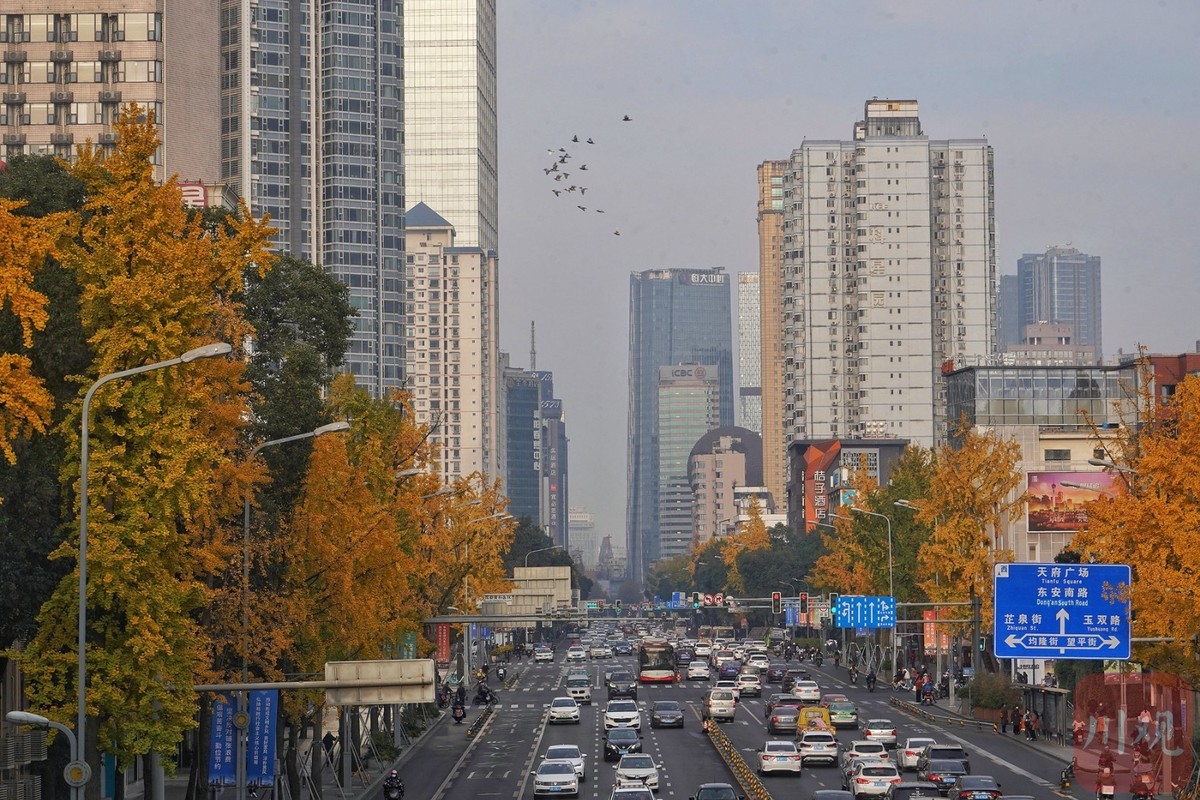 成都的太阳已连续多天到岗!最美“黄金”季节来了(图5) 成都的太阳已连续多天到岗!最美“黄金”季节来了(图5)