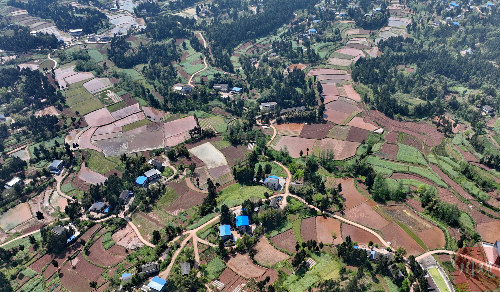 在蓬安县锦屏镇中坝社区成块的农田,当地村民在田间劳作