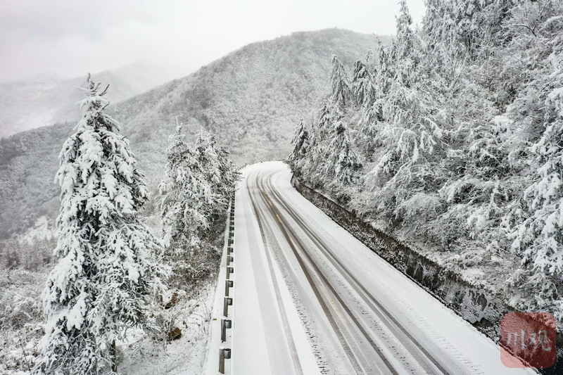 今日大雪实拍白雪皑皑的雅安泥巴山