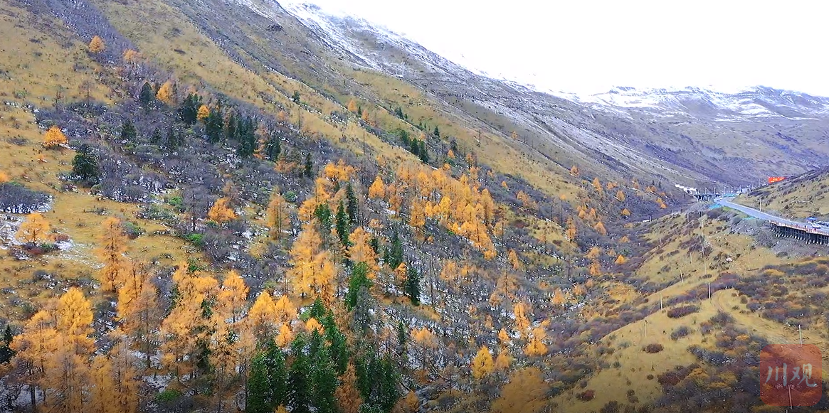 多彩川西北②|冬日雅克夏 雪晶铺地 彩林缤纷 - 川观新闻