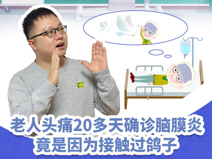 老人接触鸽子后头痛20多天，确诊脑膜炎！医生提醒丨健康科代表