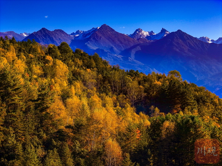 睛彩雅安123宝兴金秋跷迹色彩斑斓