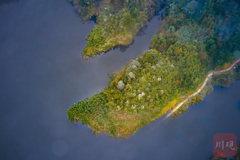 饮水探源实拍雅安九龙水库