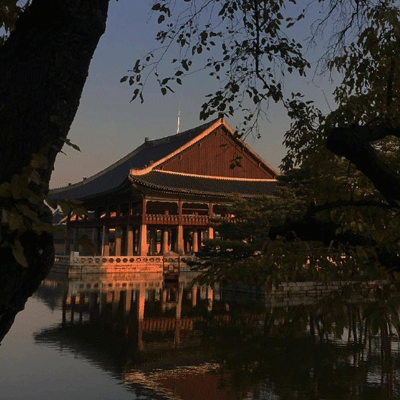 末日幸存者